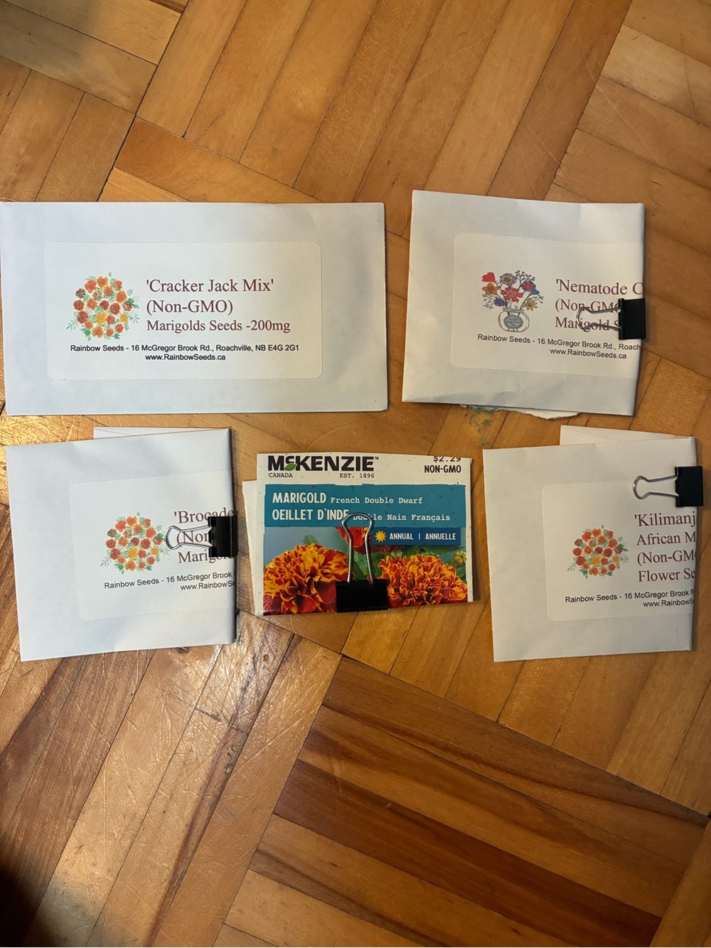 Assorted Marigold Seed Packets - Orange & Yellow